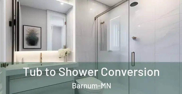 inner Bathroom imggen Tub to Shower Conversion Barnum-MN