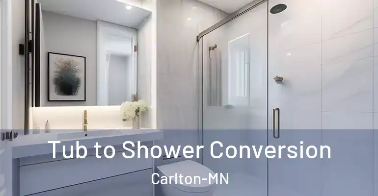 inner Bathroom imggen Tub to Shower Conversion Carlton-MN