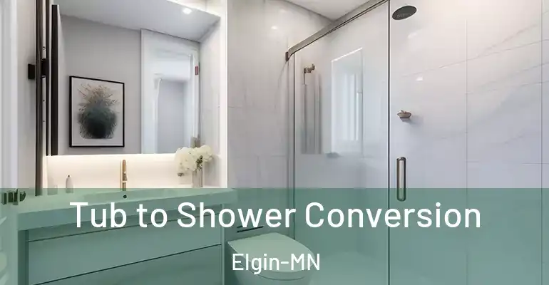 inner Bathroom imggen Tub to Shower Conversion Elgin-MN