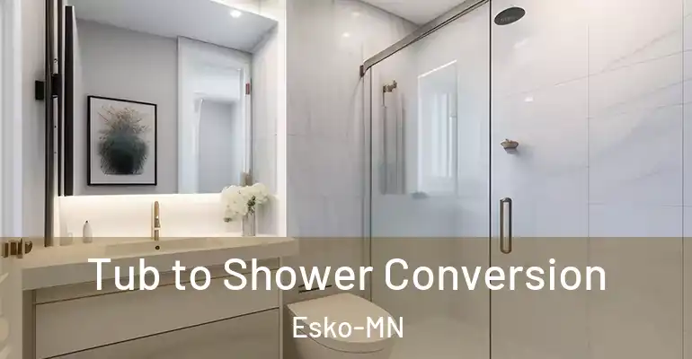 inner Bathroom imggen Tub to Shower Conversion Esko-MN