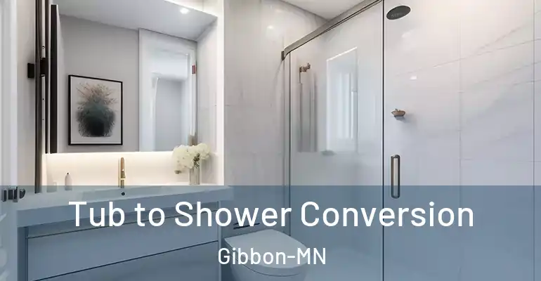 inner Bathroom imggen Tub to Shower Conversion Gibbon-MN