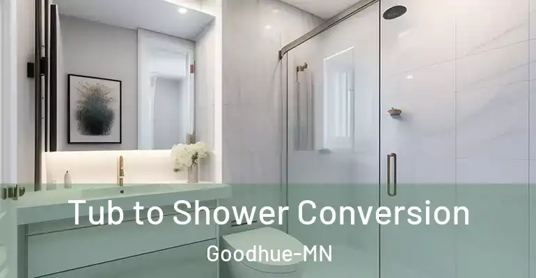 inner Bathroom imggen Tub to Shower Conversion Goodhue-MN
