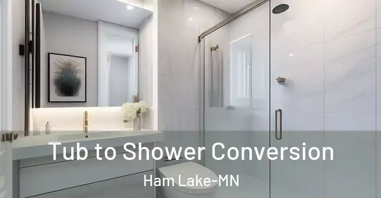 inner Bathroom imggen Tub to Shower Conversion Ham Lake-MN