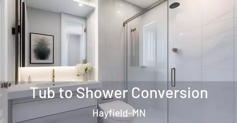 inner Bathroom imggen Tub to Shower Conversion Hayfield-MN