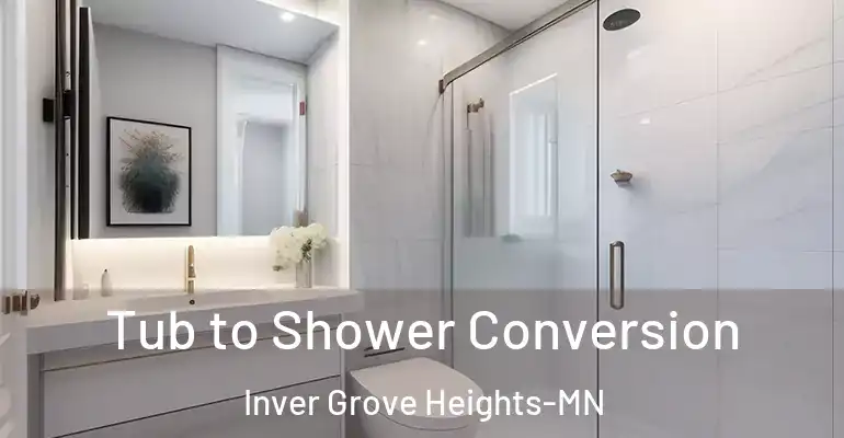 inner Bathroom imggen Tub to Shower Conversion Inver Grove Heights-MN