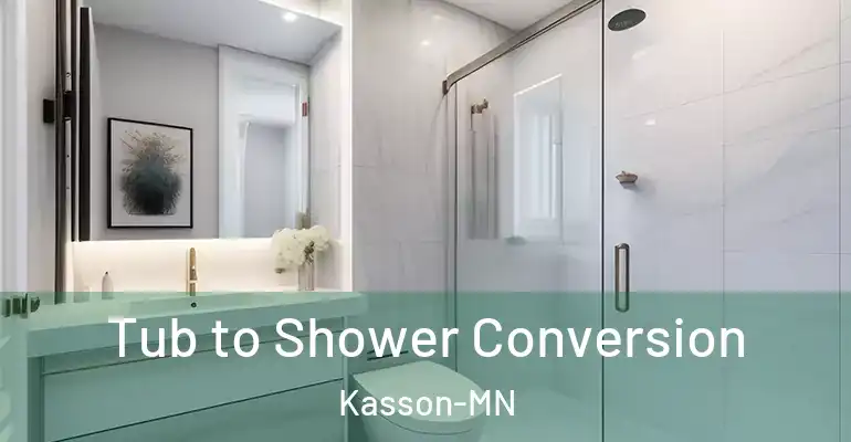 inner Bathroom imggen Tub to Shower Conversion Kasson-MN