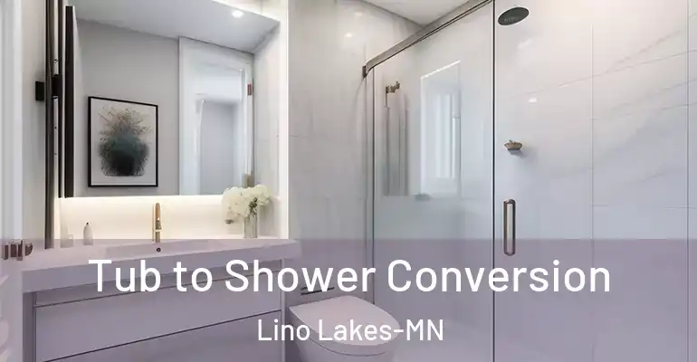 inner Bathroom imggen Tub to Shower Conversion Lino Lakes-MN