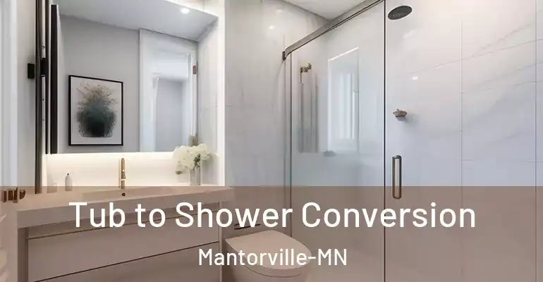 inner Bathroom imggen Tub to Shower Conversion Mantorville-MN