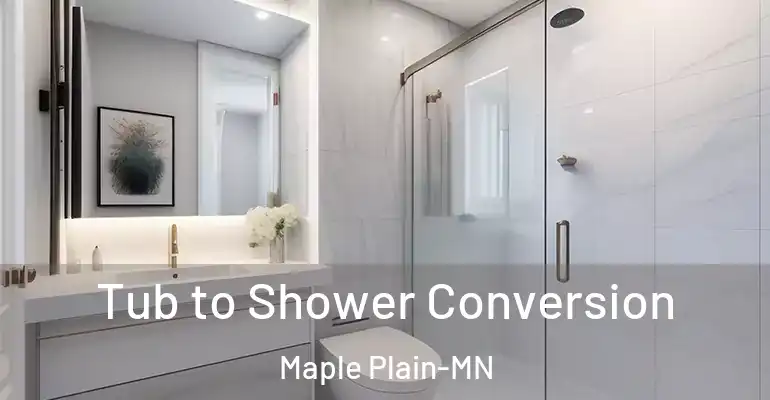inner Bathroom imggen Tub to Shower Conversion Maple Plain-MN