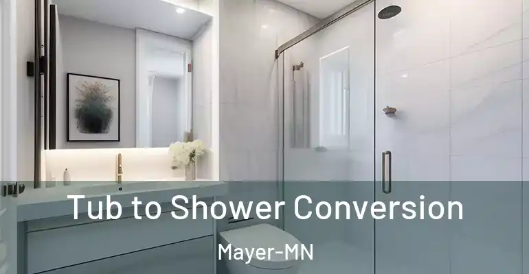 inner Bathroom imggen Tub to Shower Conversion Mayer-MN