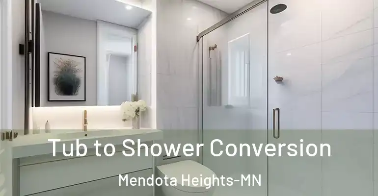 inner Bathroom imggen Tub to Shower Conversion Mendota Heights-MN