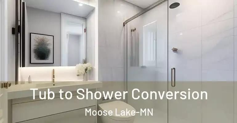 inner Bathroom imggen Tub to Shower Conversion Moose Lake-MN