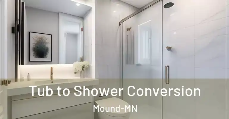 inner Bathroom imggen Tub to Shower Conversion Mound-MN
