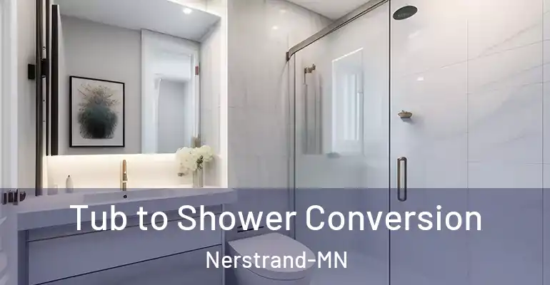 inner Bathroom imggen Tub to Shower Conversion Nerstrand-MN