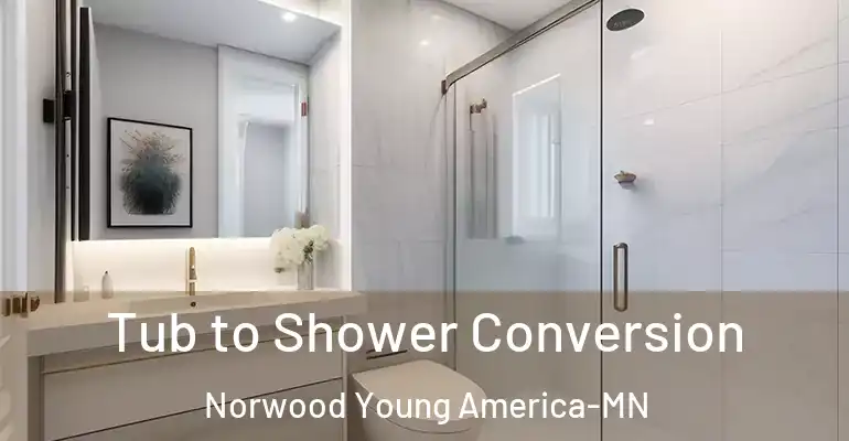 inner Bathroom imggen Tub to Shower Conversion Norwood Young America-MN