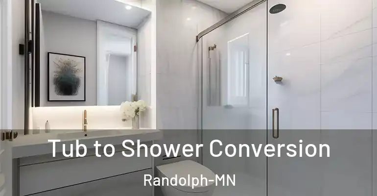 inner Bathroom imggen Tub to Shower Conversion Randolph-MN