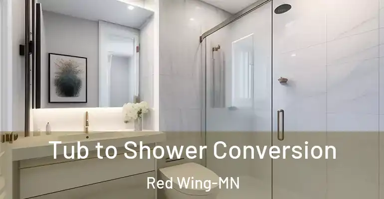 inner Bathroom imggen Tub to Shower Conversion Red Wing-MN