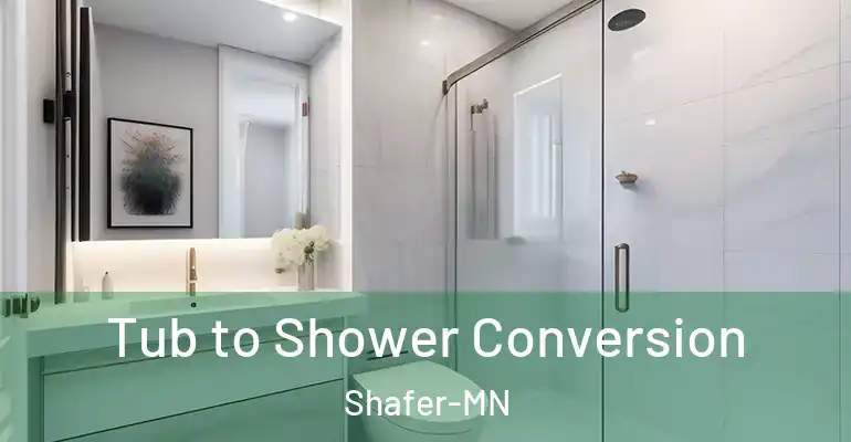 inner Bathroom imggen Tub to Shower Conversion Shafer-MN