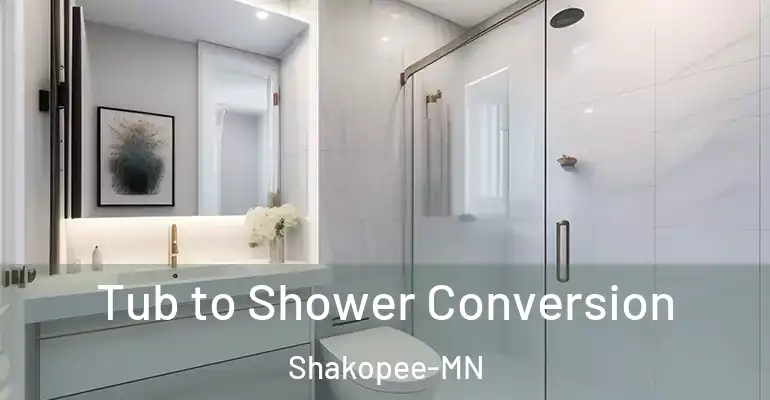 inner Bathroom imggen Tub to Shower Conversion Shakopee-MN