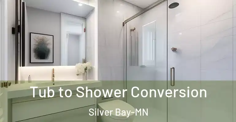 inner Bathroom imggen Tub to Shower Conversion Silver Bay-MN