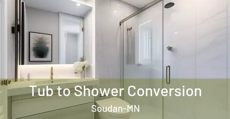 inner Bathroom imggen Tub to Shower Conversion Soudan-MN