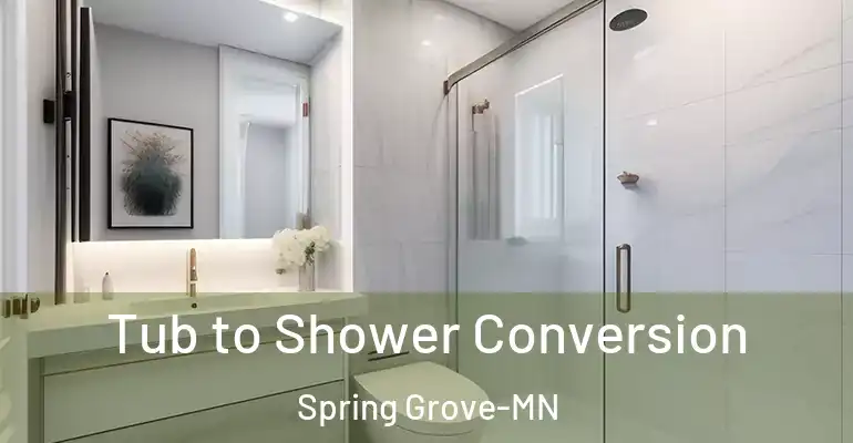 inner Bathroom imggen Tub to Shower Conversion Spring Grove-MN