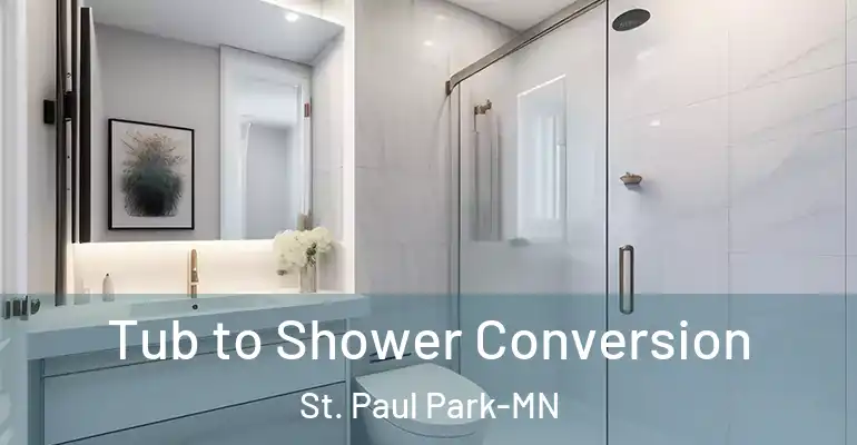 inner Bathroom imggen Tub to Shower Conversion St. Paul Park-MN