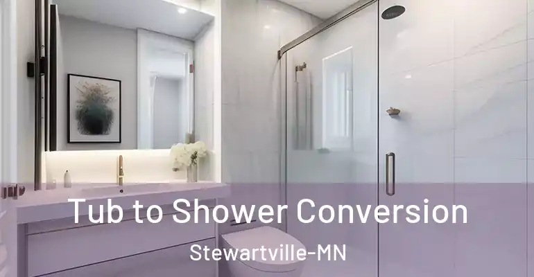 inner Bathroom imggen Tub to Shower Conversion Stewartville-MN