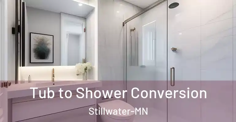 inner Bathroom imggen Tub to Shower Conversion Stillwater-MN