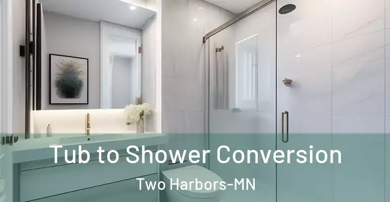 inner Bathroom imggen Tub to Shower Conversion Two Harbors-MN