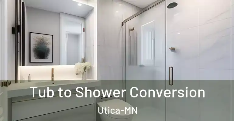 inner Bathroom imggen Tub to Shower Conversion Utica-MN
