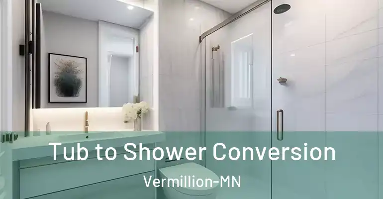 inner Bathroom imggen Tub to Shower Conversion Vermillion-MN