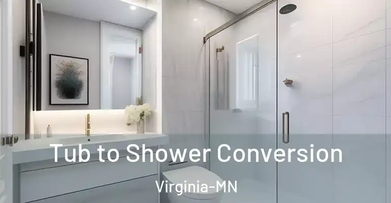 inner Bathroom imggen Tub to Shower Conversion Virginia-MN