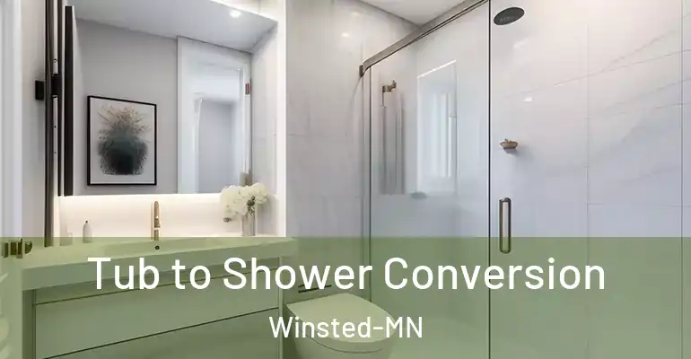 inner Bathroom imggen Tub to Shower Conversion Winsted-MN