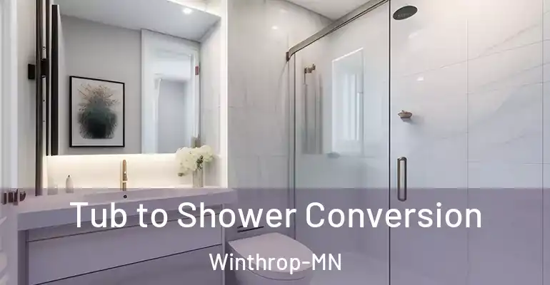 inner Bathroom imggen Tub to Shower Conversion Winthrop-MN