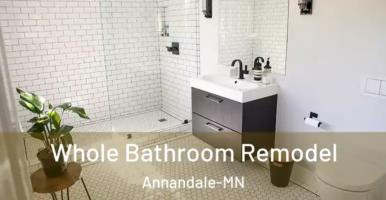 inner Bathroom imggen Whole Bathroom Remodel Annandale-MN