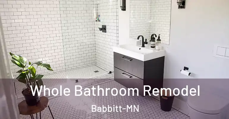 inner Bathroom imggen Whole Bathroom Remodel Babbitt-MN