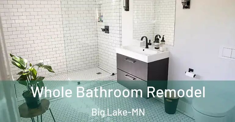 inner Bathroom imggen Whole Bathroom Remodel Big Lake-MN