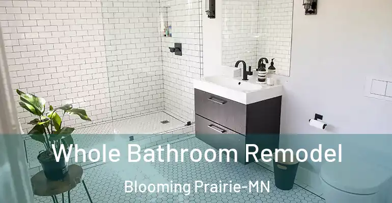 inner Bathroom imggen Whole Bathroom Remodel Blooming Prairie-MN