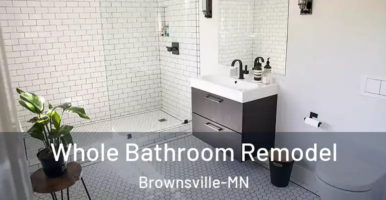 inner Bathroom imggen Whole Bathroom Remodel Brownsville-MN