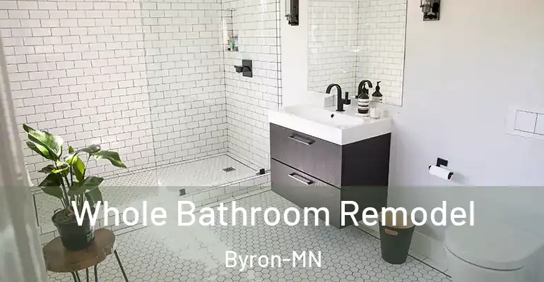 inner Bathroom imggen Whole Bathroom Remodel Byron-MN