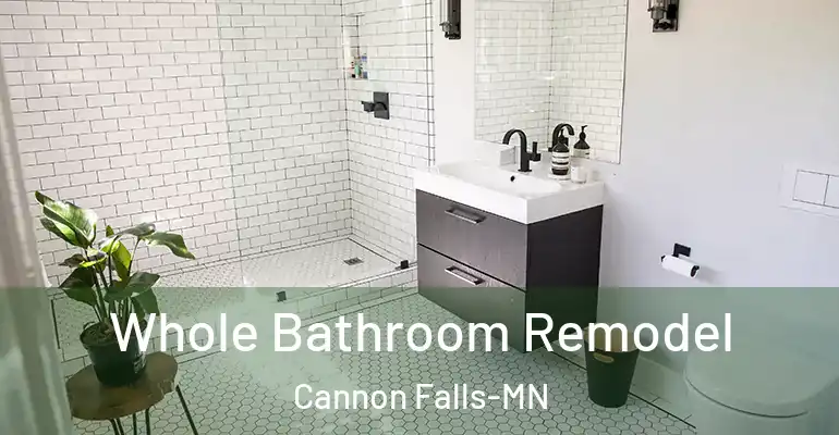 inner Bathroom imggen Whole Bathroom Remodel Cannon Falls-MN
