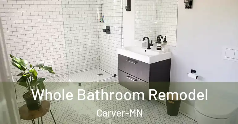 inner Bathroom imggen Whole Bathroom Remodel Carver-MN