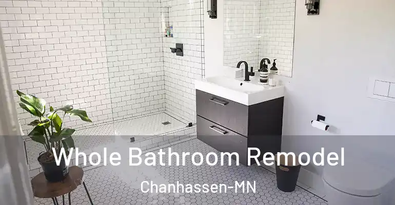inner Bathroom imggen Whole Bathroom Remodel Chanhassen-MN