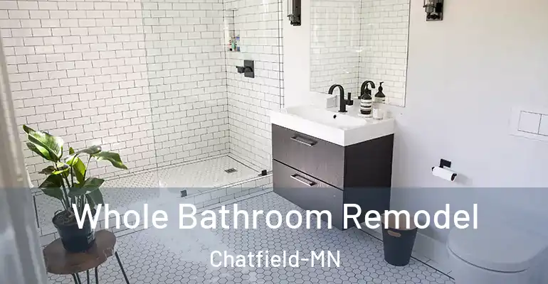 inner Bathroom imggen Whole Bathroom Remodel Chatfield-MN