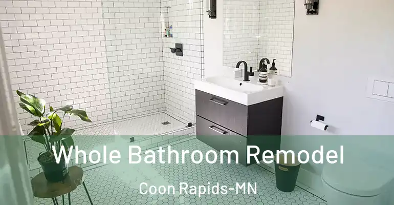 inner Bathroom imggen Whole Bathroom Remodel Coon Rapids-MN