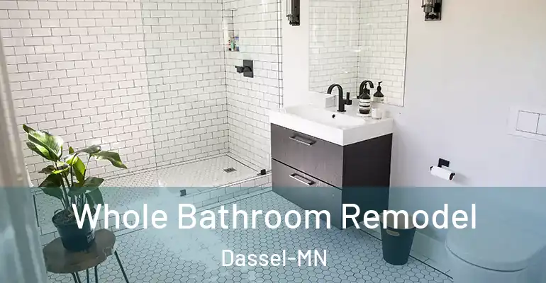 inner Bathroom imggen Whole Bathroom Remodel Dassel-MN