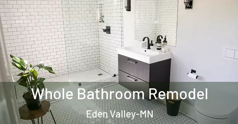 inner Bathroom imggen Whole Bathroom Remodel Eden Valley-MN