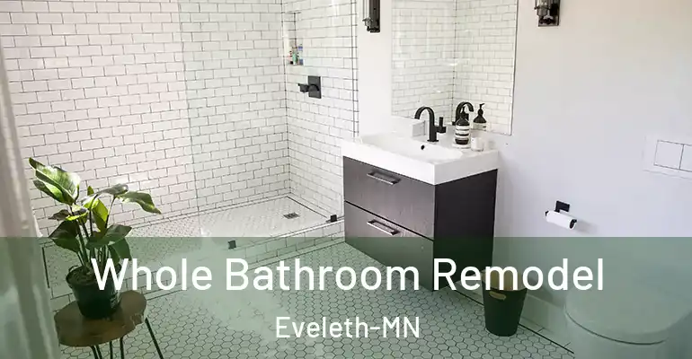 inner Bathroom imggen Whole Bathroom Remodel Eveleth-MN