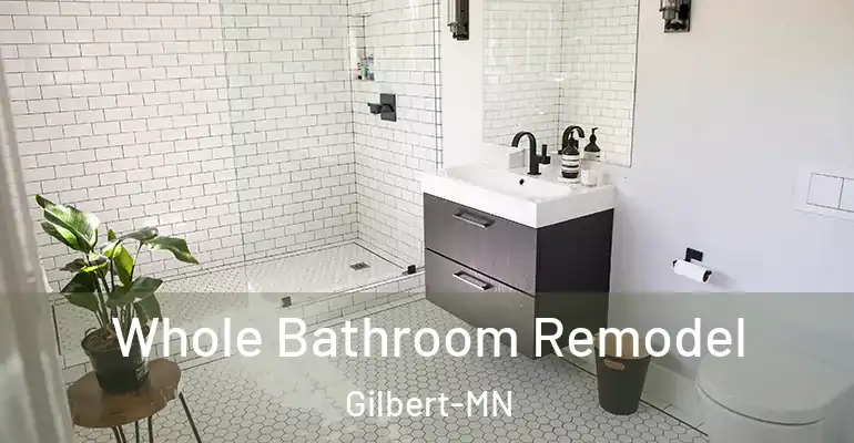 inner Bathroom imggen Whole Bathroom Remodel Gilbert-MN